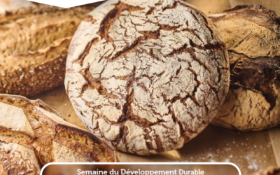 La boulangerie Française de Septembre 2024